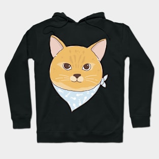 orange cat Hoodie